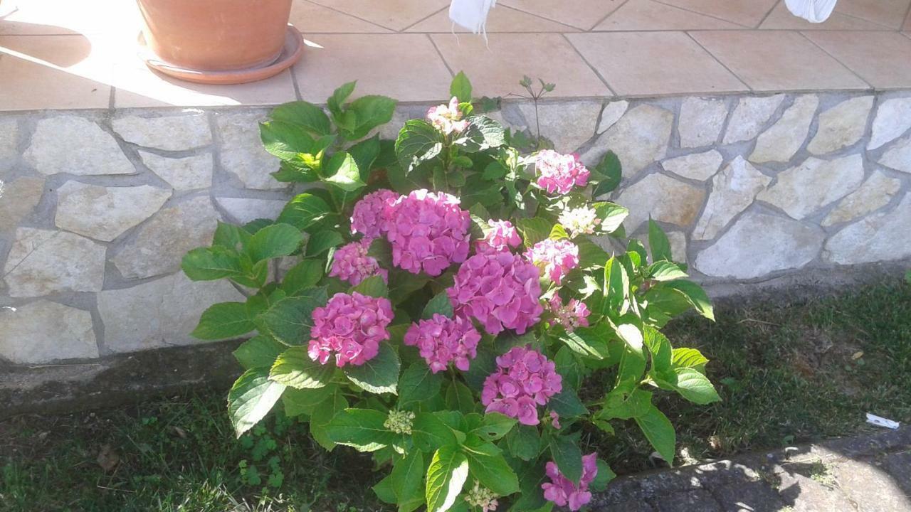 B&B Rolu Формело Екстериор снимка